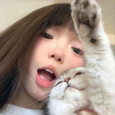 神烦警探第一季