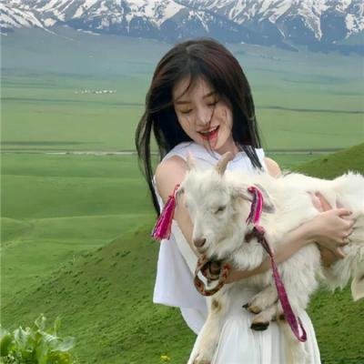 莱芬斯坦:影像的背叛